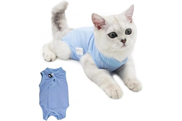 Body de Protection Chat pour Plaies Abdominales ou Maladies de la Peau - Combinaison Anti Léchage et de Récupération pour Chats (Medium, Bleu)