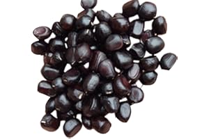 kiskick 120 Unids/bolsa Semillas de Peonía Semillas de Flores Naturales Multifuncionales de Colores Mezclados para Jardín Balcón | Regalo de jardinería Hombres Mujeres Jardineros Color mixto Semi