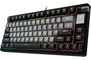 EvoFox Ronin Wired Mechanical Gaming Keyboard, 9 Layer Structure, Gasket Mount, 2 Layer Sound Dampening, 75% Layout, Red Switches, Hot Swappable, Per-Key RGB, nKey Rollover, Windows Software-Black