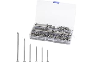 APOMOONS Set ci 700 Chiodi In Acciaio In 6 Misure, da 20 mm A 50 mm Chiodini per Quadri Muro Chiodi Corti E Lunghi per Appendere Quadri, Fai Da Te, In Legno E Cemento, con Scatola di Immagazzinamento