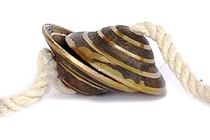 DE KULTURE WORKS Kansa Manjira Mini Instrument | Handmade Bronze Cymbal I Hand Cymbal Manjeera | Handheld Percussion | Cymbal Pair | 2 X 2 D.H. (Inches)