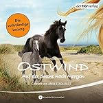 Ostwind: Auf der Suche nach Morgen (Ostwind 4)