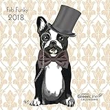 Fab Funky 2018 - GreenLine Kalender, liebevoll illustrierter Kalender, Mini-Broschüren - 17,5 x 17,5 cm by 