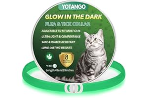 YOTANGO Collier Anti Puces pour Chat, Collier Anti Puces et Tiques pour Chats Imperméable, Réglable Collier Anti Puce Chat Lumineux - 8 Mois de Protection Naturelle pour Chats de Toutes Tailles-Vert
