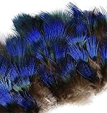 ERGEOB Pfauenfedern blaufedern DIY Basteln Federn 6-8 cm (2-3 Zoll) Länge -