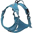 TrueLove Dog Harness TLH5651 No-pull Reflective Stitching Ensure Night Visibility, Outdoor Adventure Big Dog Harness Perfect Match Puppy Vest (Blue,S)