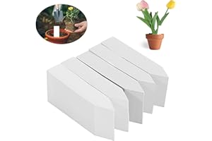 LWTSRP 500 Pezzi Etichette per Piante, Etichetta Giardino Esterna, Etichette Targhette per Piante, Targhette per Piante, Cartellini per Piante, per Vivai, Semi, Piante ed Erbe Aromatiche, 10 x 2 cm