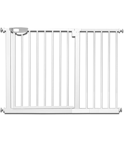 Cesta Con Pinzas Para La Ropa | Foto Premium