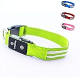 Tractive Collare luminoso per cani, COLLARE LED, Ricaricabile tramite USB, Impermeabile (S, verde)