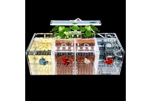 CHESTNUT-YX Betta Fish Tank Aquarium Material acrílico Mini pecera de Escritorio Kit de Cuencos con Bomba de Agua y Luces LED Autocirculación Tanque ecológico Sala de Aislamiento de Peces Enfermos (4 Rejillas)