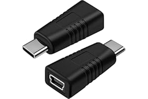 LEMLIN Typ-C Stecker auf Mini USB Buchse, Adapter Unterstützung Ladenadapter Konverter für Handy, Tablet, Digitalkamera, Bluetooth, Headset-2 Stück