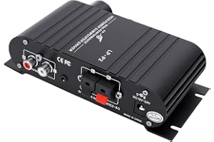 Yobadam Mono Subwoofer Amp Kraftfull 100W Full Frequency Output Bärbar Förstärkare för Hemmabio Aluminiumlegeringsdesign