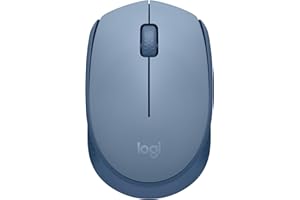 Logitech M171 Ratón inalámbrico para PC, Mac, portátil, 2,4 GHz con minireceptor USB, seguimiento óptico, duración batería 12 meses, ambidiestro, Gris