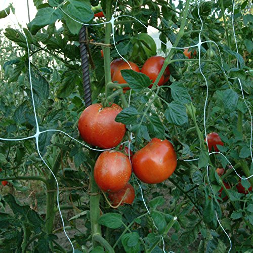 Ranknetz, Rankhilfe, Pflanzenstütze 2 x 10m, (15 x 17cm) weiß