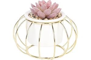 Sleepdown Halo Red Succulent Artificial Faux Plant Gold Cage Stand for Home Office Bathroom Decor Indoor Decoration Aesthetics, Small