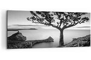 ARTTOR Cuadros Decoracion Salon Árbol Blanco Y Negro Vista Lienzos decorativos 120x50cm Cuadro Sobre Lienzo Moderno Dormitorio Cocina Cuadros Pared Imágenes Wall Art Prints Decor Canvas Grande AB120x50-4297