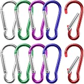 BOUMVID 10 Pieces Carabiner, Mini Aluminium Small Carabiner, 5 Colours Carabiner Keychain Small Compact Lightweight Carabiner
