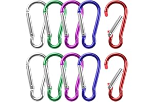 BOUMVID Lot de 10 petits mousquetons porte-clés multicolores en aluminium pour camping, randonnée, voyage, mini sac à dos