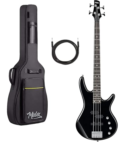 Ibanez RG421PB-CHF RG Serisi Elektro Gitar : Amazon.com.tr: Müzik