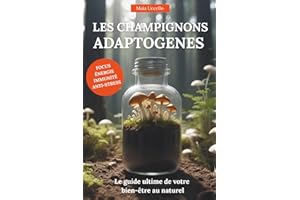 Les champignons adaptogènes: le guide ultime pour votre bien-être au naturel