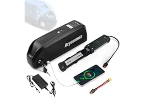 ARYONMAX 48V Ebike Battery 20Ah with Charger 4 Pin Base, Lithium Electric Bike Battery for 1500W 1000W 800W 750W 500W 350W Motor, for Bafang AW Most Ebike Conversion Kit (48V 20Ah 4Pin for 0-1500W,Upgraded)