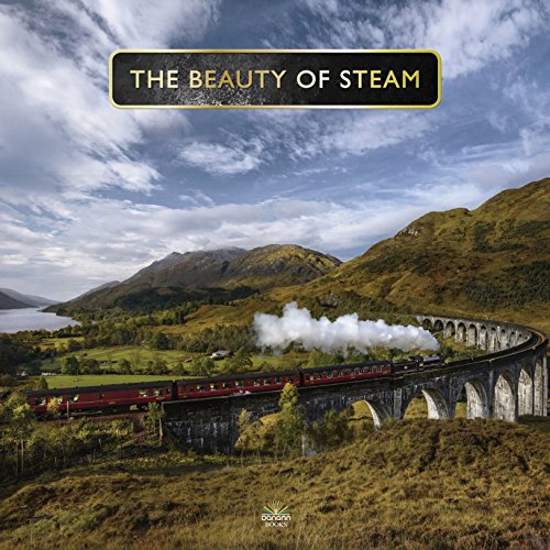 Preisvergleich Produktbild Beauty Of Steam