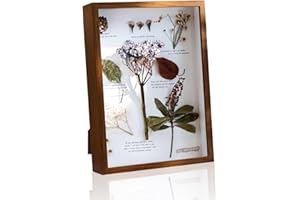 QYRDBGY 3D Bilderrahmen zum Befüllen, 20x25cm Objektrahmen Bilderrahmen Tief mit Transparente Glas Tiefer Rahmen Hölzern für DIY Kunstwerke Foto Trockenblumen
