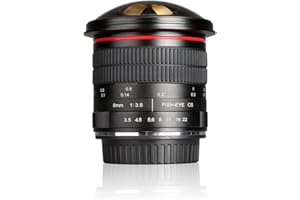 Meike 8mm f/3.5 Ultra Wide Angle Manual Focus Rectangle Fisheye Lens for APS-C DSLR Nikon D500 D3200 D3300 D3400 D5200 D5300 D5500 D5600 D7100 D7200 D7500 DSLR Cameras