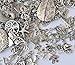 Price comparison product image **NEW SILVER MIX**55-60g (30-50pcs)Mixed Pendants Charms-Antique Silver Colour By AC Crafts