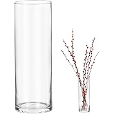 QWORK&reg; Large Clear Glass Vase 30x10cm for Flowers - Modern Design Cylindrical