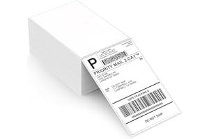 ‎ASPRINK Thermopapier 4"x 6" (100mm×150 mm), Direkt Versandetiketten DHL Etiketten, Selbstklebendes Thermopapier Versandetiketten für Labeldrucker (1 Pack der Fanfold Etiketten 500 Stück)