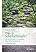 Was ist Schematherapie?: Eine Einführung in Grundlagen, Modell und Anwendung by