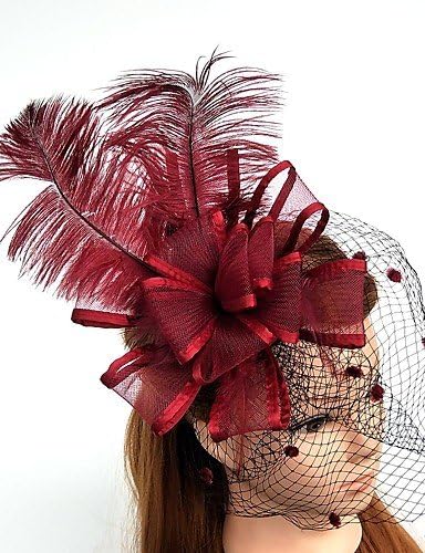 BMJQS Women's Feather / Tulle / Chiffon Headpiece-Wedding / Special Occasion Fascinators 1 Piece , burgundy