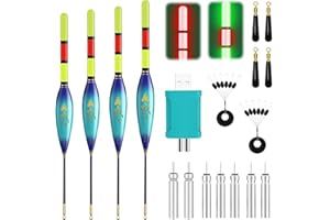 CHENBOOW Accessoires de Pêche,4 Pièces Flotteur Pêche,Flotteurs de Pêche à LED,Flotteurs pour Pêche,Bouchon Peche,Bouchon Lumineux Peche,pour la Pêche au Lac,Rivière ou étang