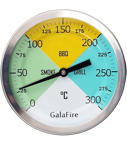 2 Thermomètres De Four Greluma - Acier Inoxydable 50-300°C - Précision Cuisson Four, Gril, Barbecue