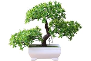 Steellwingsf Bonsaï en pin artificiel ornemental en pot pour décorer la maison ou le bureau