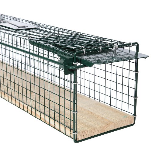 Moorland® Safe 6042 Lebend-Falle 80x15x19 cm mit Holzboden als stabile Tierfalle für Ratten, Marder, Iltis, Katzen - 2