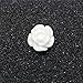 Goldenssy 24Pcs/Lot 10mm 3D Resin Flower Rose Nail Art Kit Manicure Nail Sticker Pattern Real For Gel UV Decoration Instead of Acrylic Liquid and Powder - White