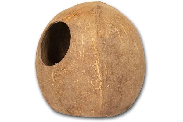 Reptiles Planet - Coco Cave - Cachette Naturelle en Noix de Coco pour Petits Animaux