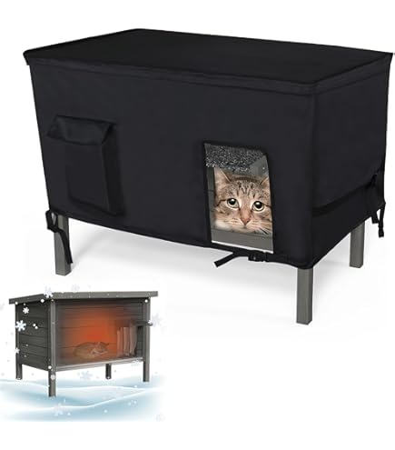 stray cats survive keeping cats warm outside