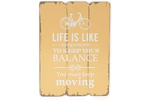 levandeo - Quadro da parete in legno, 28 x 21 cm, con scritta in lingua inglese "Sayings Shabby Chic Vintage Decorazione targa Keep Moving Bike