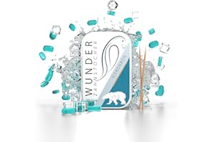 PERFEKTO24 Wunder wykałaczka – ze smakiem – guma do żucia bez plastiku – pomaga zwalczać nieświeży oddech/obgryzanie paznokci – zaprzestanie palenia – świeży oddech z aromatycznymi wykałaczkami – bez cukru,