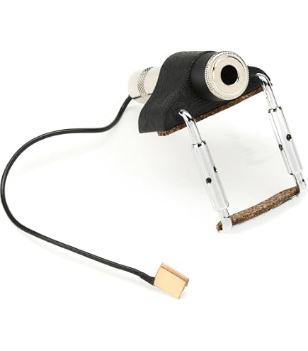 Fishman, Fcl-002 - Pastilla para contrabajo : Amazon.es
