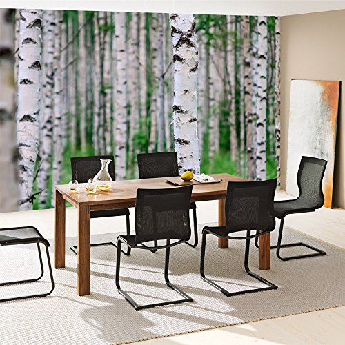 Vlies Fototapete 300×210 cm PREMIUM PLUS Wand Foto Tapete Wand Bild Vliestapete – BIRCH FOREST no.2 – Birkenwald Natur Wald Bäume Baum Forest Herbst – no. 081 - 7