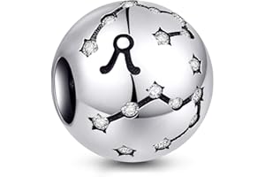 NINGAN Perline costellazioni in argento sterling 925 Fascino di zircone 5A Adatto per il regalo di compleanno della collana del braccialetto delle donne