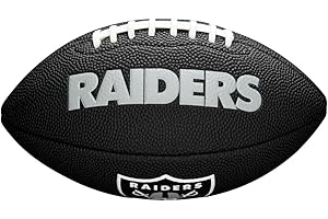 Wilson NFL Team Alliance Footballs