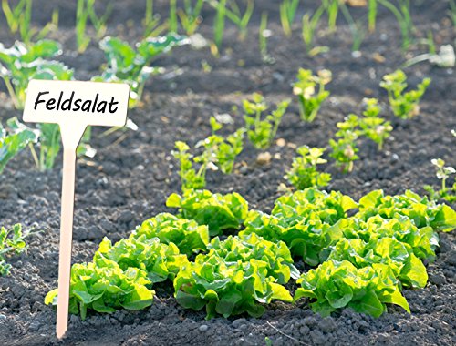 HOMETOOLS.EU – 5 Stück – Beet Pflanz Beschriftung Schilder Stecketiketten Pflanzenstecker Pflanzschilder 30cm hoch Kunststoff beschreibbar verwitterungsfest weiss - 4