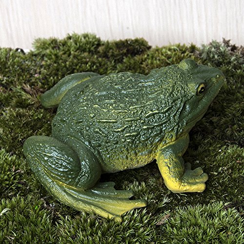 SecretRain Lebensechter Frosch aus Harz Miniatur Miniwelt als Gartendeko oder Geschenk - 4