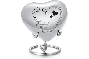 QGJNSGC Urna di gatto urna per cani a forma di cuore (argento)