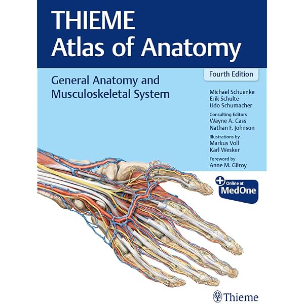 Internal Organs (THIEME Atlas of Anatomy) (English Edition) eBook